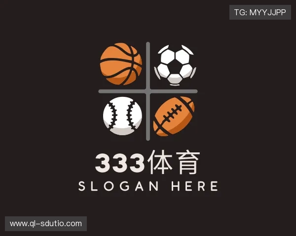 关于333体育